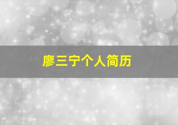 廖三宁个人简历