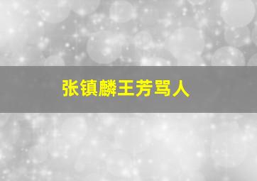 张镇麟王芳骂人