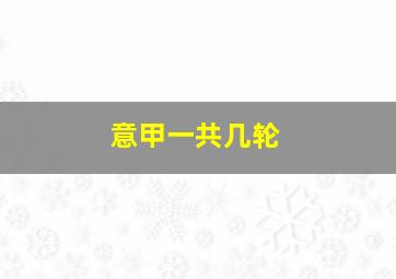 意甲一共几轮