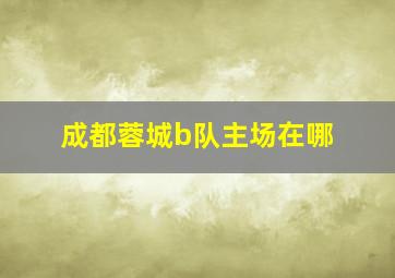 成都蓉城b队主场在哪