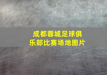 成都蓉城足球俱乐部比赛场地图片