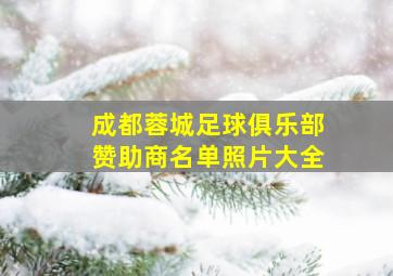 成都蓉城足球俱乐部赞助商名单照片大全