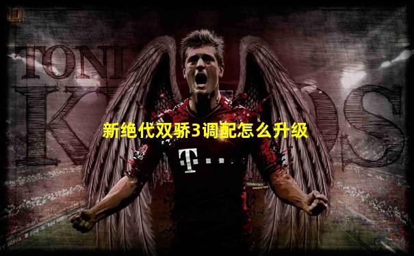 新绝代双骄3调配怎么升级