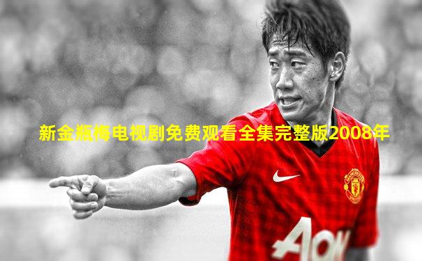 新金瓶梅电视剧免费观看全集完整版2008年