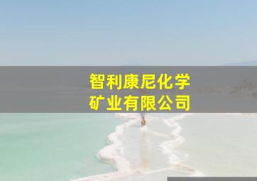 智利康尼化学矿业有限公司