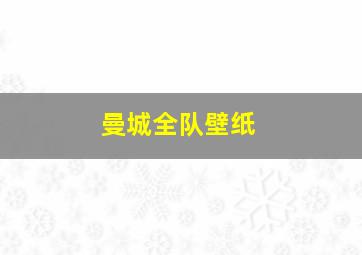 曼城全队壁纸