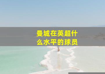曼城在英超什么水平的球员