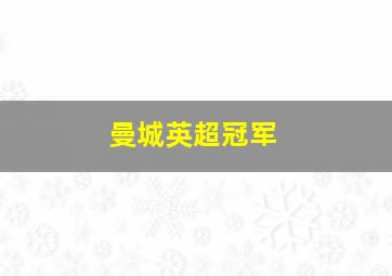 曼城英超冠军