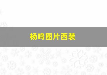 杨鸣图片西装