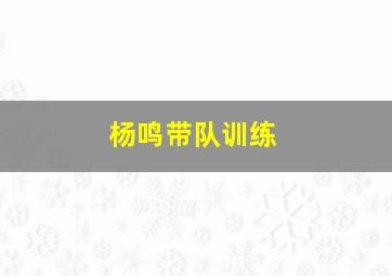 杨鸣带队训练