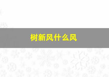 树新风什么风