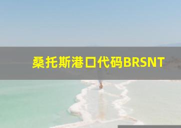 桑托斯港口代码BRSNT
