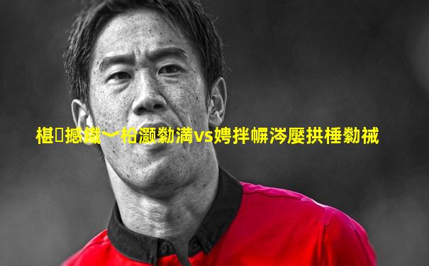 椹撼鐡﹀柗灏勬満vs娉拌幈涔嬮拱棰勬祴