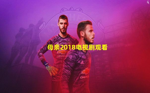 母亲2018电视剧观看