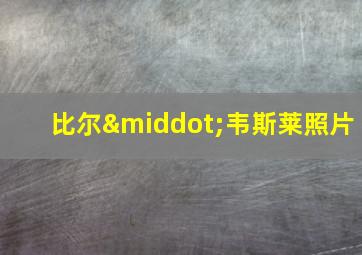 比尔·韦斯莱照片