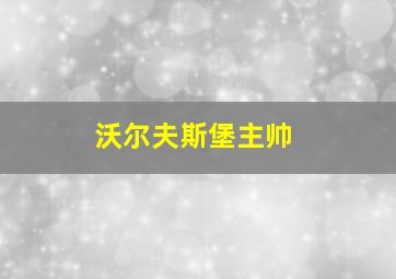 沃尔夫斯堡主帅