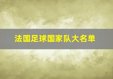 法国足球国家队大名单