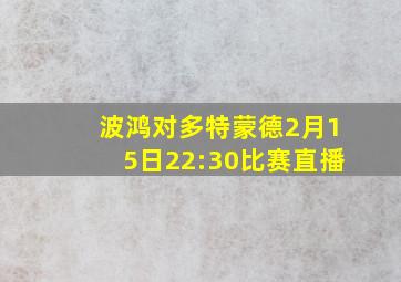 波鸿对多特蒙德2月15日22:30比赛直播