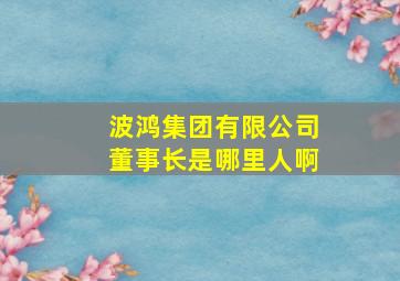 波鸿集团有限公司董事长是哪里人啊