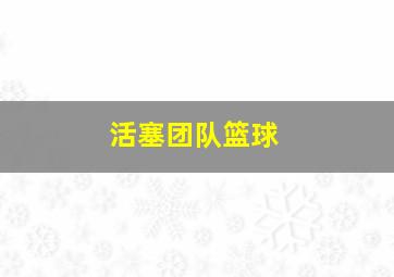 活塞团队篮球