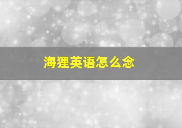 海狸英语怎么念