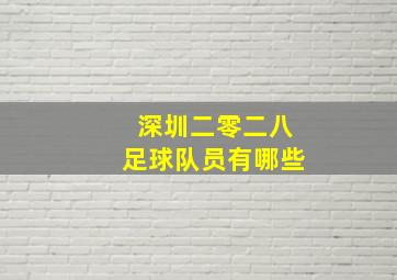 深圳二零二八足球队员有哪些