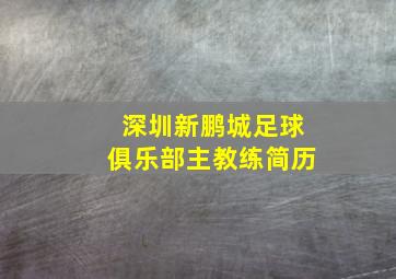 深圳新鹏城足球俱乐部主教练简历