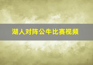 湖人对阵公牛比赛视频