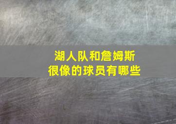 湖人队和詹姆斯很像的球员有哪些