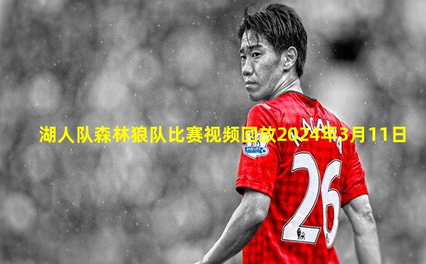 湖人队森林狼队比赛视频回放2024年3月11日