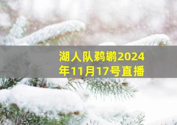 湖人队鹈鹕2024年11月17号直播
