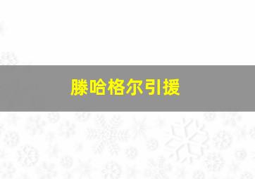 滕哈格尔引援