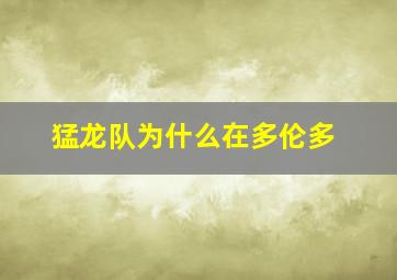 猛龙队为什么在多伦多
