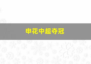 申花中超夺冠