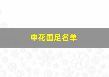 申花国足名单