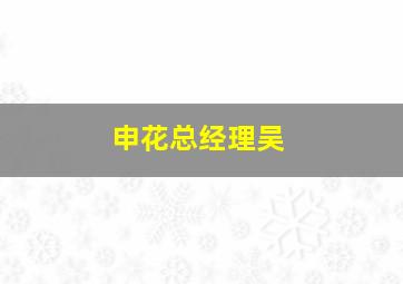 申花总经理吴
