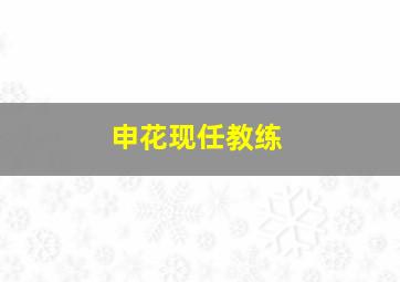 申花现任教练