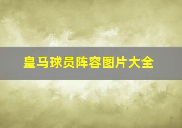 皇马球员阵容图片大全