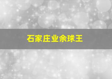 石家庄业余球王