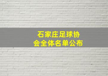 石家庄足球协会全体名单公布