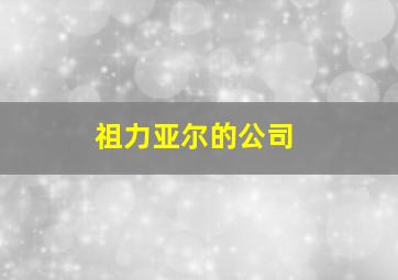 祖力亚尔的公司