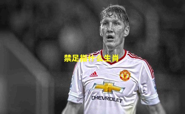 禁足指什么生肖