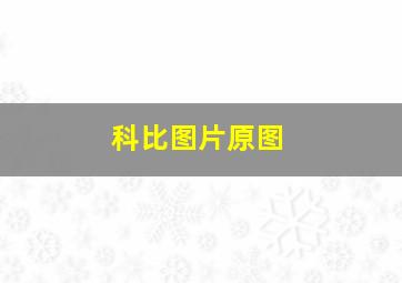 科比图片原图
