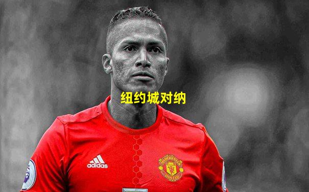纽约城对纳