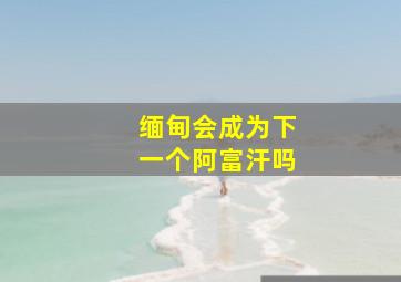 缅甸会成为下一个阿富汗吗