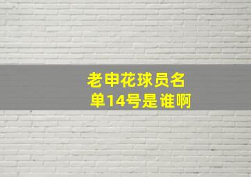 老申花球员名单14号是谁啊