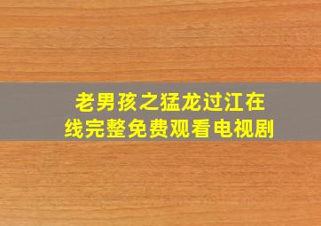老男孩之猛龙过江在线完整免费观看电视剧