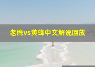 老鹰vs黄蜂中文解说回放