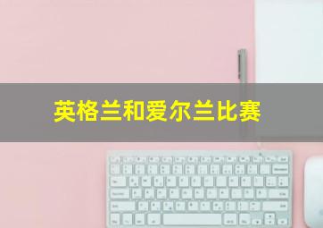 英格兰和爱尔兰比赛