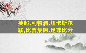 英超,利物浦,纽卡斯尔联,比赛集锦,足球比分